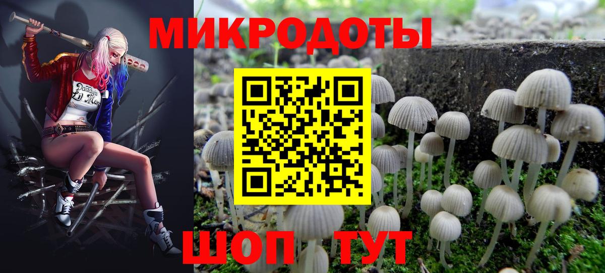 как найти закладки  Галлюциногенные грибы мицелий  Вход с VPN  Псилоцибиновые грибы мицелий  Гагарин 