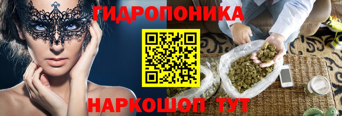 Бошки Шишки план  Каннабис гибрид  Бошки Шишки VHQ  Гагарин  Конопля план  Вход с VPN 